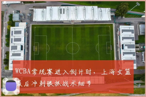 WCBA常规赛进入倒计时,上海女篮最后冲刺狠抓战术细节