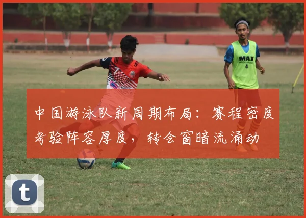 中国游泳队新周期布局：赛程密度考验阵容厚度，转会窗暗流涌动