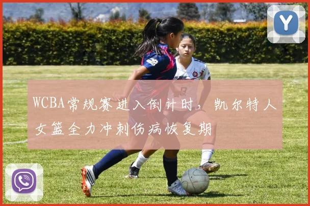 WCBA常规赛进入倒计时,凯尔特人女篮全力冲刺伤病恢复期